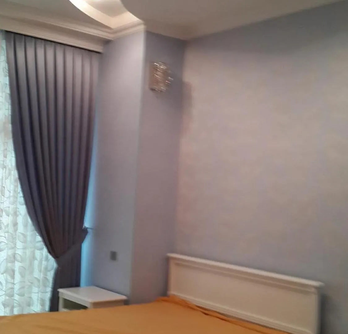 Deluxe Apartment In バクー